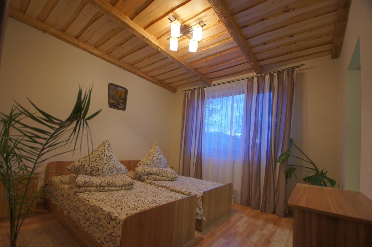 Villa U Slavika à Yasinya Extérieur photo